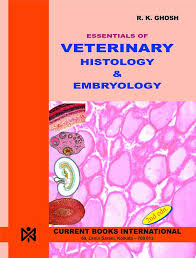 veterinary anatomy